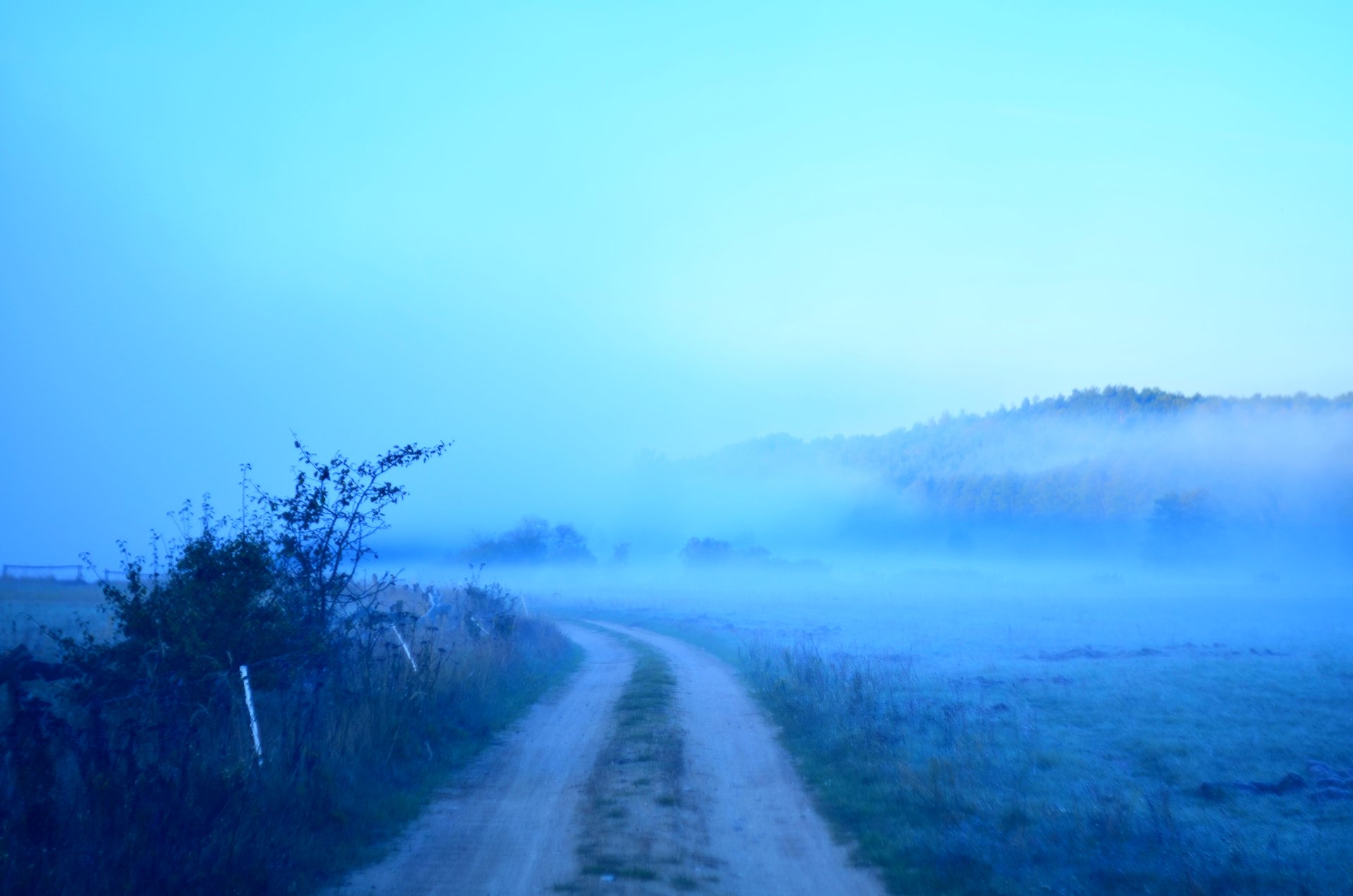 droga mgła wschód słońca świtfree photo darmowe zdjęcie