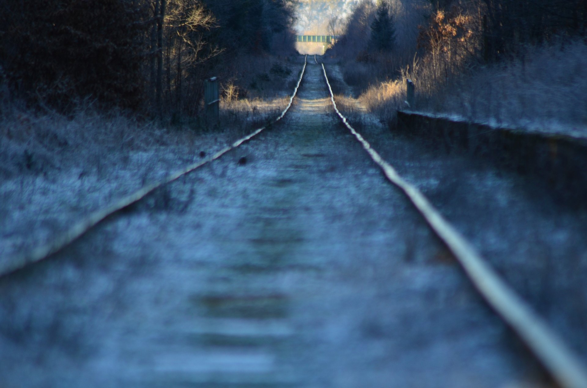 zima tory Białowieżafree photo darmowe zdjęcie