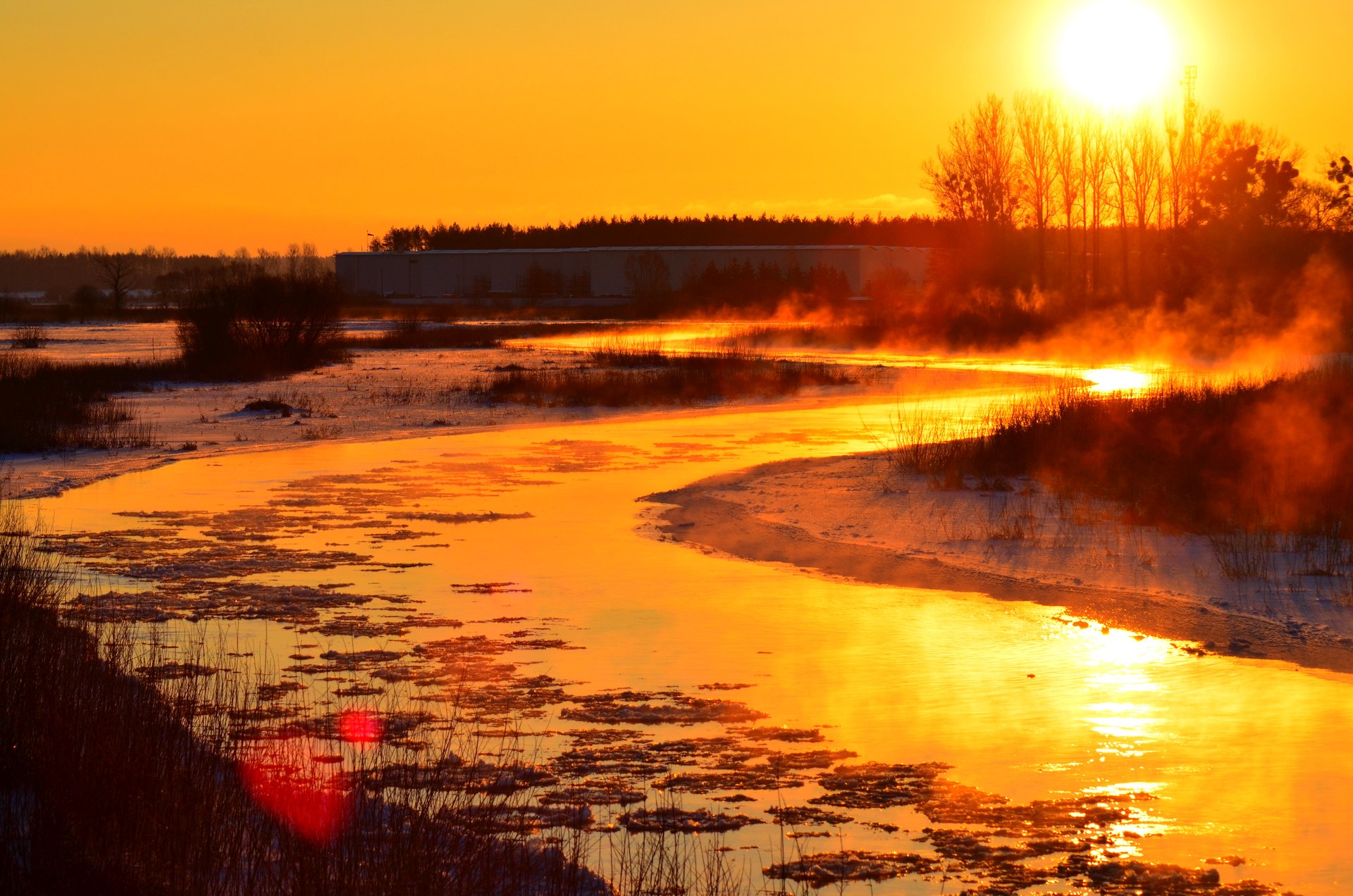 Rzeka Narew wschód słońca świt zimafree photo darmowe zdjęcie