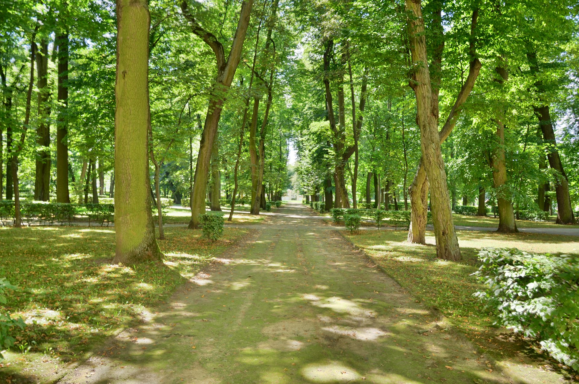 Białystok Pałac Branickich w Białymstoku ogród Wersal Podlaskifree photo darmowe zdjęcie