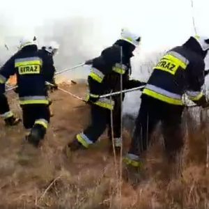 Biebrzański Park Narodowy. Zabrakło pieniędzy na akcje gaśniczą! Skala tragedii porażająca.