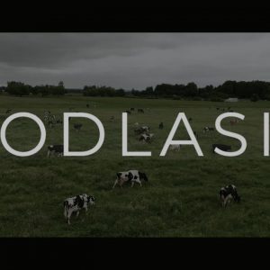 Niesamowity film o Podlasiu. Każdy, kto go zobaczy natychmiast się spakuje i tu przyjedzie!