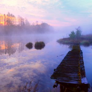 3 miejsca na Podlasiu, gdzie poranne mgły wyglądają cudownie!