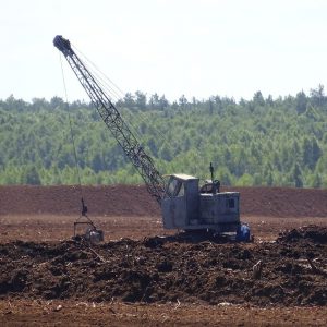 To jest chore! Chcą budować kopalnię. To zrujnuje środowisko, rolnictwo i zabije Narew i żubry!