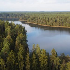 Podlaskie lasy idealne do odpoczynku, medytacji i nabrania sił