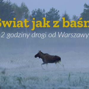 Swiat-jak-z-basni-Podlaskie-Travel