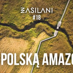 Narew to polska Amazonka? Park Narodowy to miejsce z fantastycznym klimatem!
