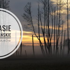 Podlasie-Nadbuzanskie-Sutno-Wajkow-Gmina-Mielnik