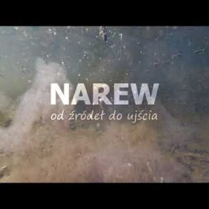 Powstał niesamowity film dokumentalny o rzece Narew. Obejrzyjcie koniecznie!