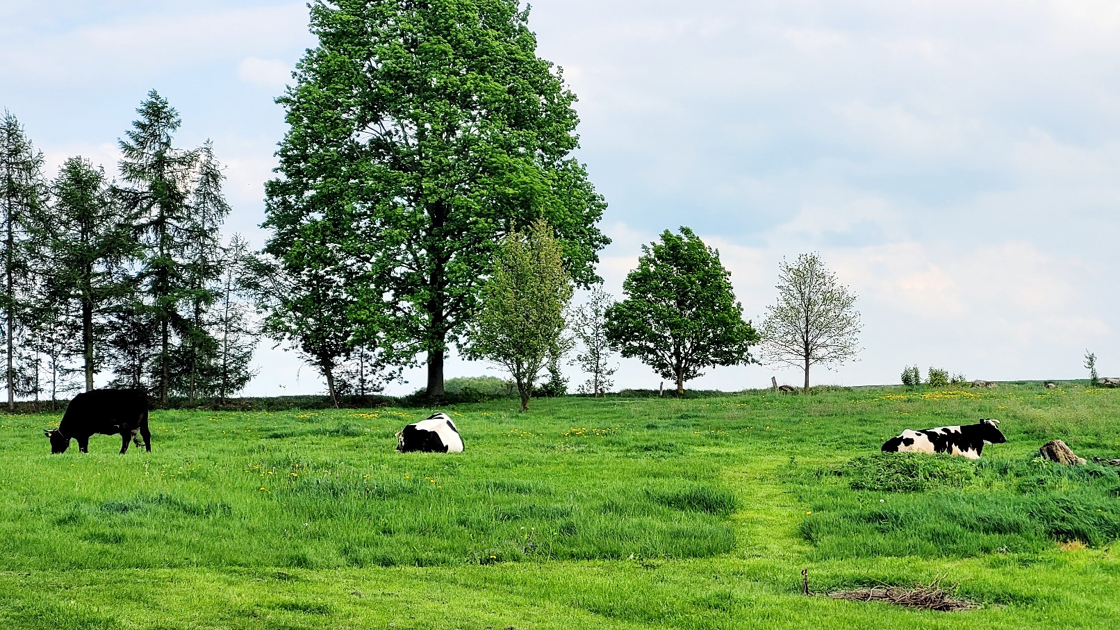 Piękny podlaski widok