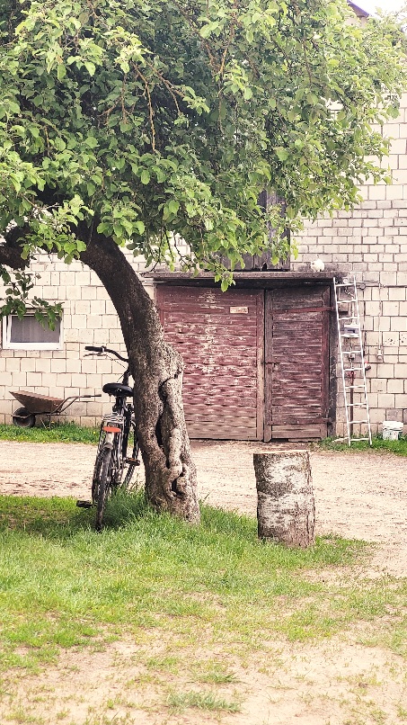 Podlaska cisza i spokój