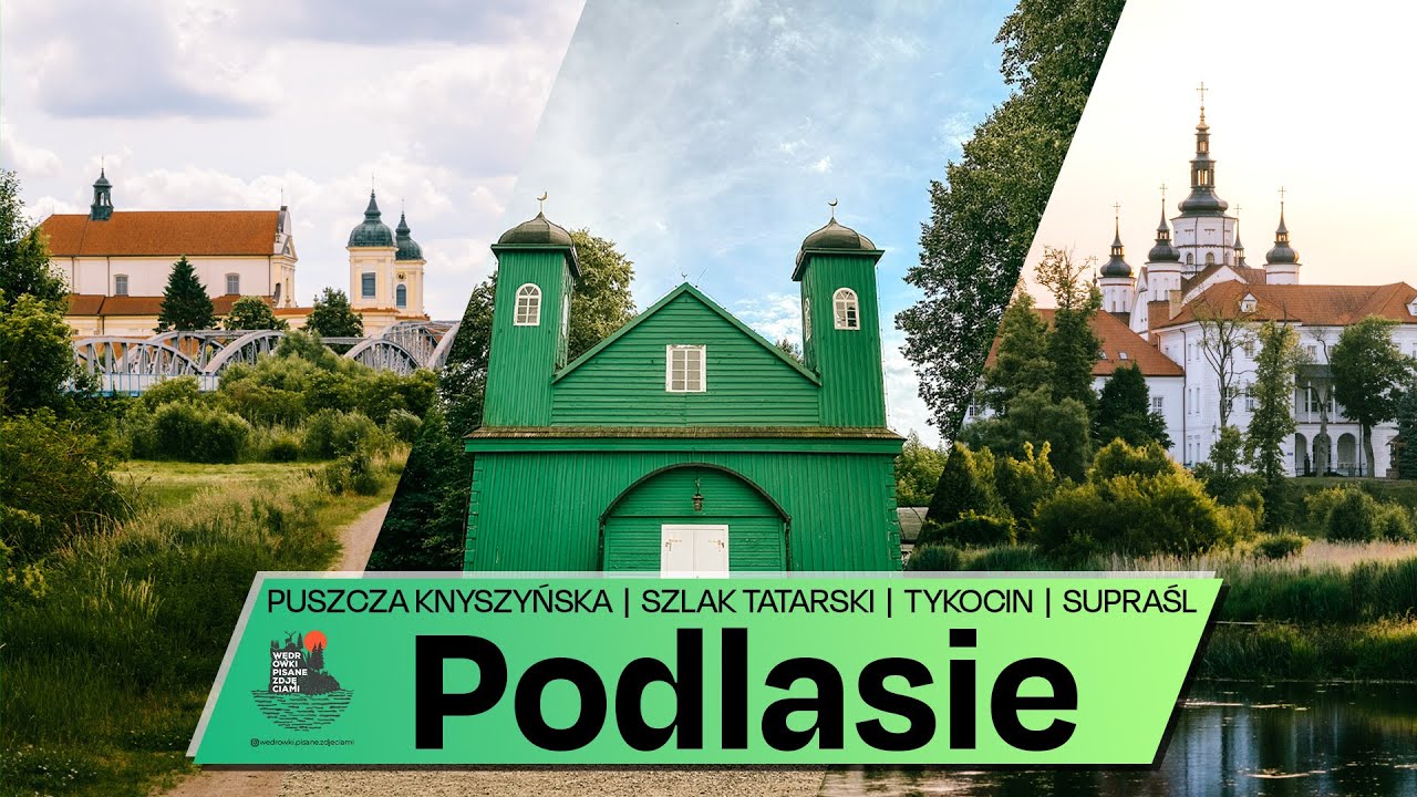 Puszcza Knyszyńska - co obejrzeć i zwiedzić w sercu Podlasia?