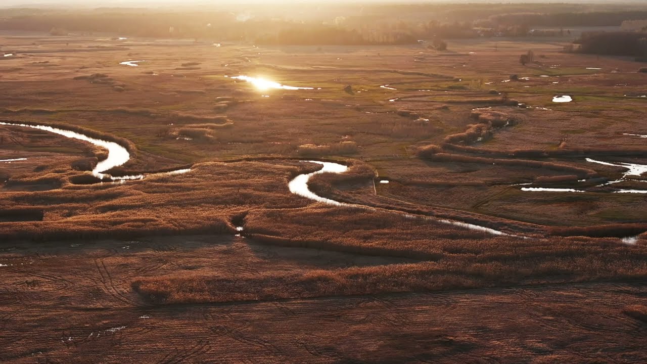 Przestrzenie Równiny Bielskiej na Podlasiu. Coś pięknego!
