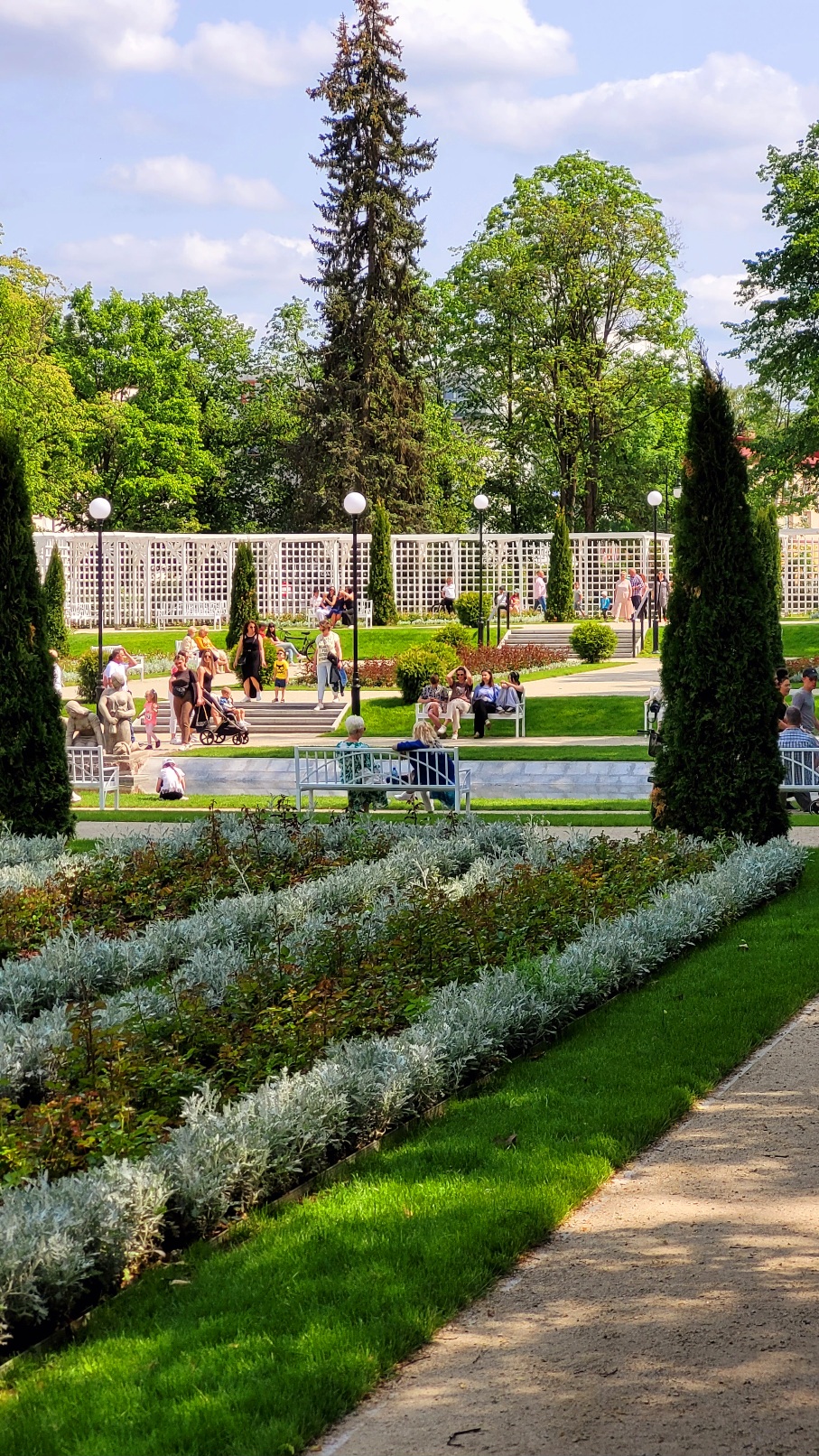 Różanka na Plantach
