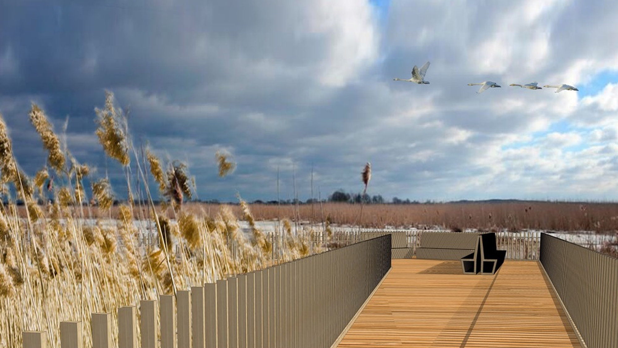 Śmiech na sali! Narwiański Park Narodowy biernie patrzy na śmierć Narwi i jednocześnie inwestuje w nowe atrakcje.