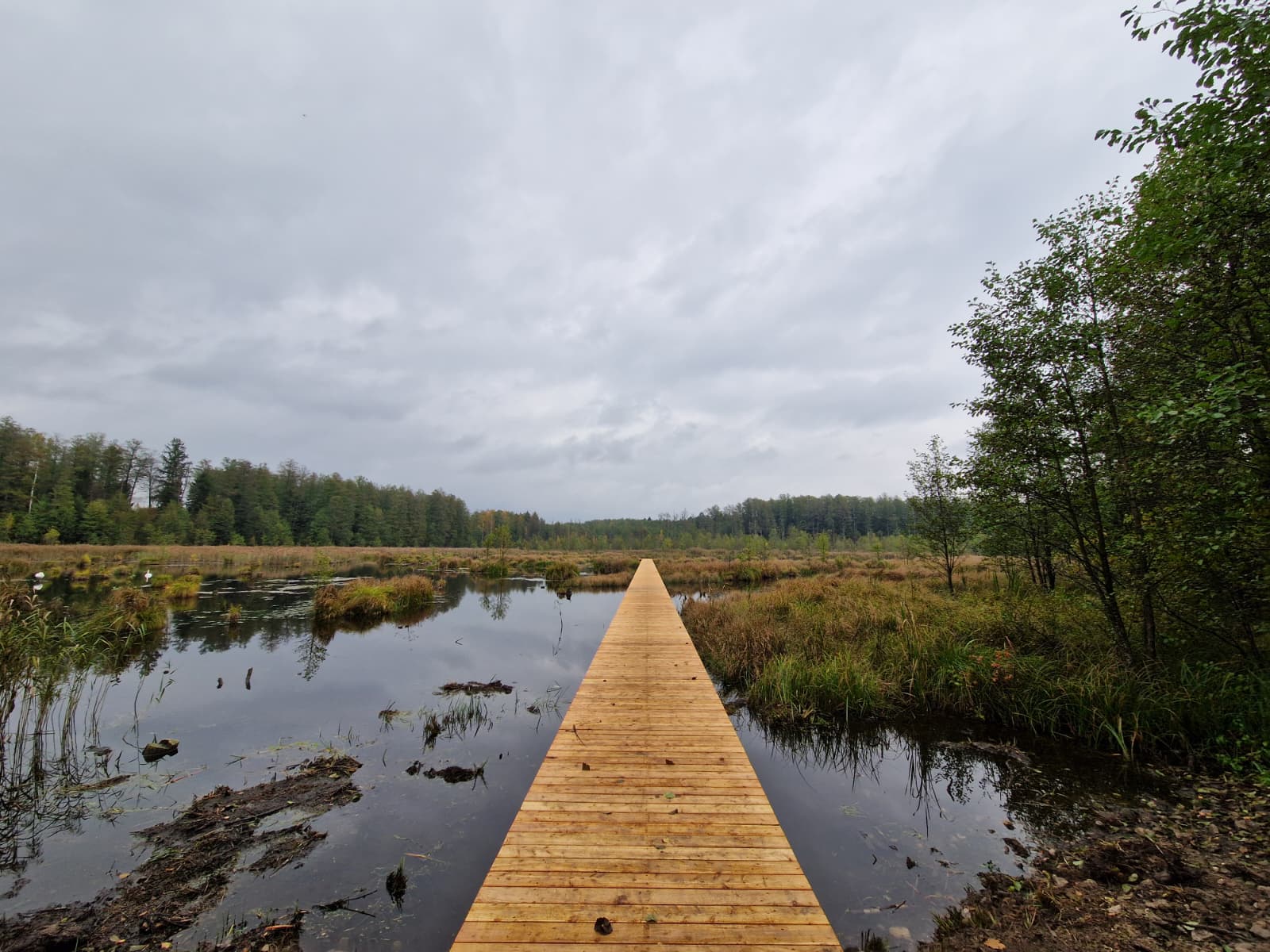 Dobra wiadomość! Słynna kładka wraca po remoncie. Tłumy odwiedzających i sesje nowożeńców. Dobra wiadomość! Słynna kładka wraca po remoncie. Tłumy odwiedzających i sesje nowożeńców.