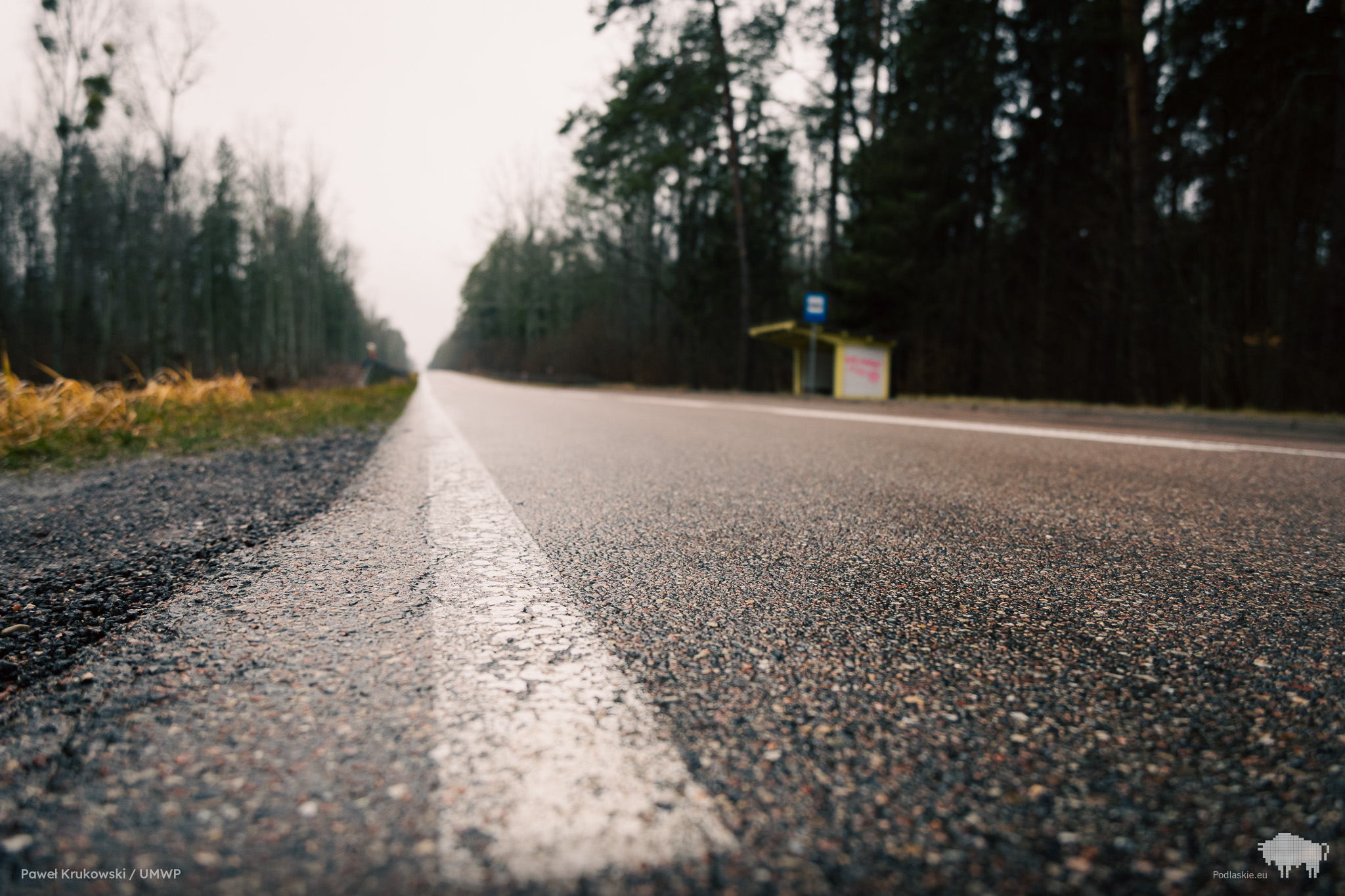 Na ta drogę rowerową czeka bardzo wiele osób. Rozpoczęła się budowa!