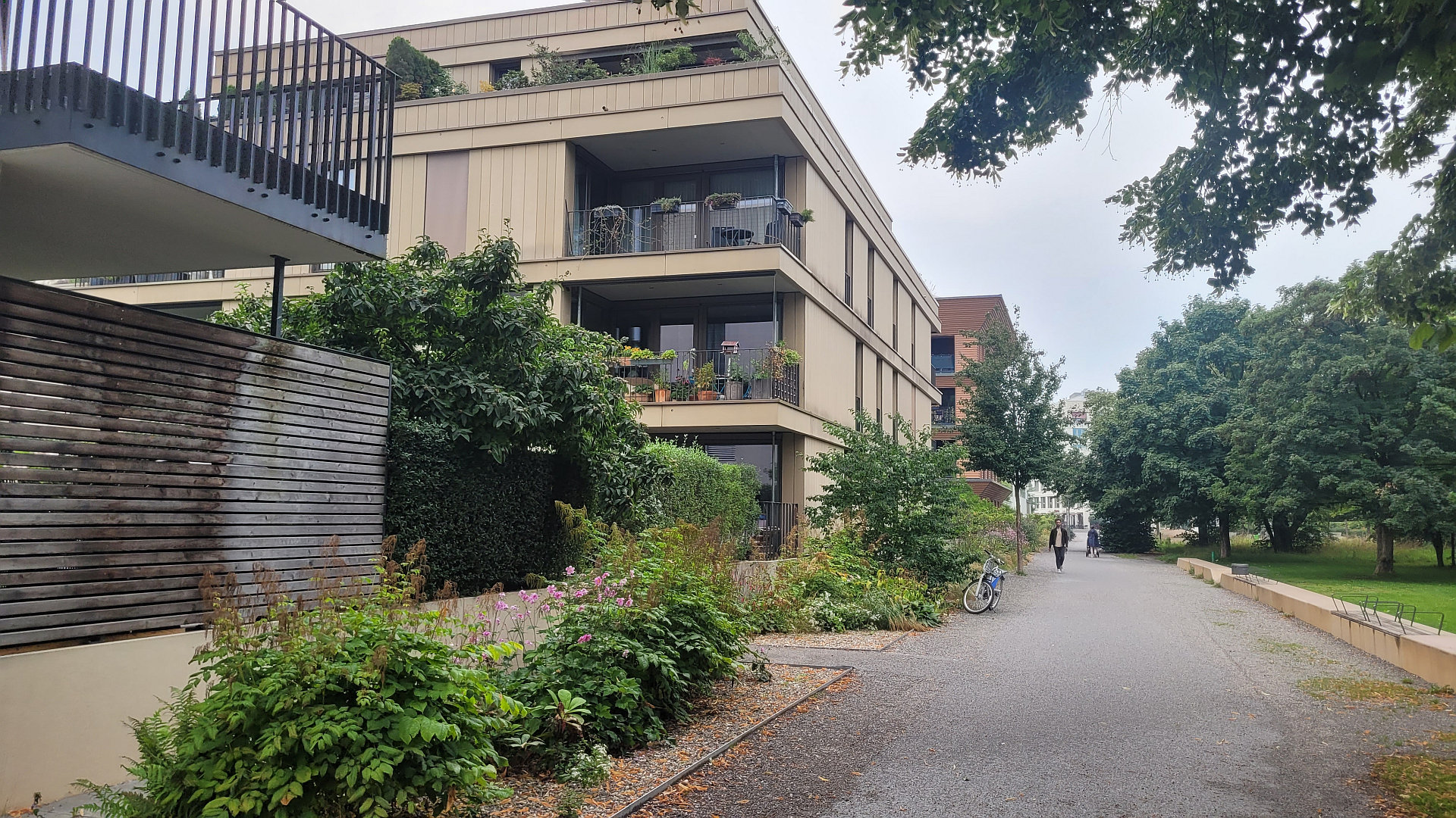 Wystawiam panu Truskolaskiemu, doktorowi habilitowanemu nauk ekonomicznych - pałę z ekonomii.