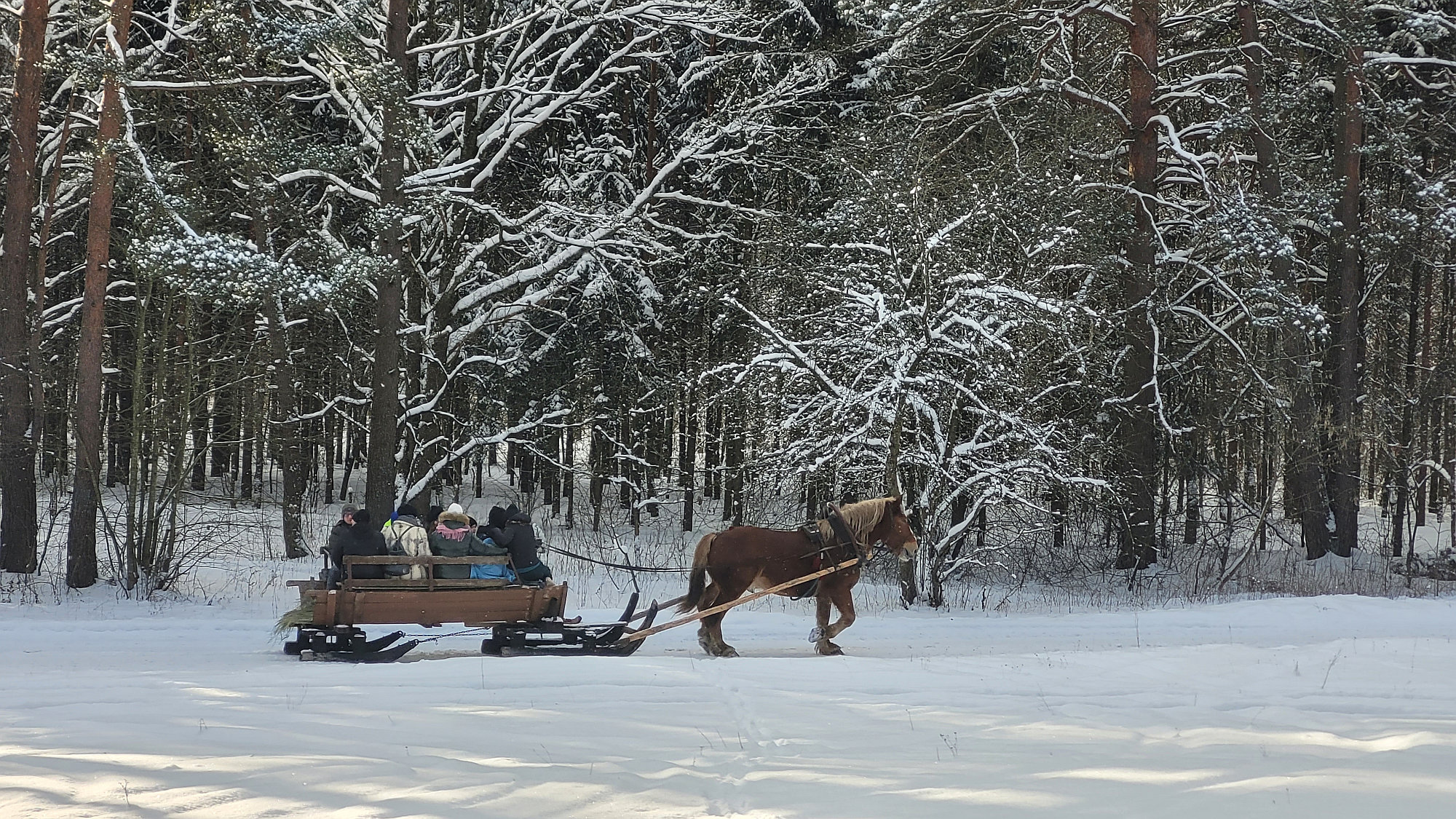 Czas na ferie! Zobacz ile ma do zaoferowania Podlaskie.