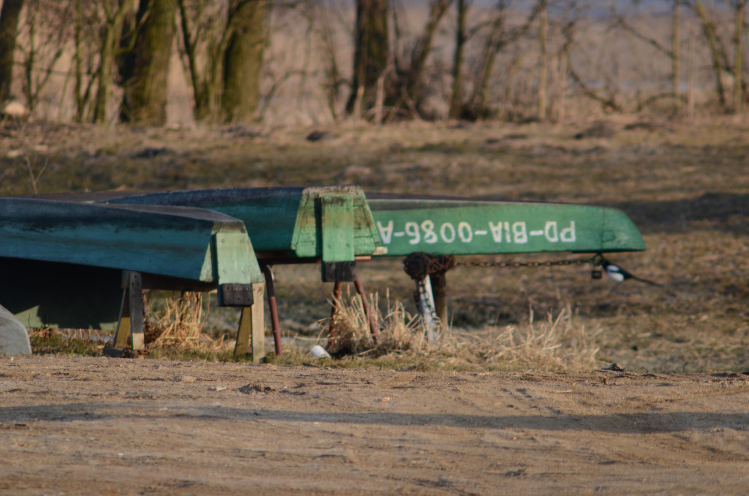 Co za kuriozum! Rzeka umiera, a gmina realizuje turystykę wokół niej za 3 miliony.