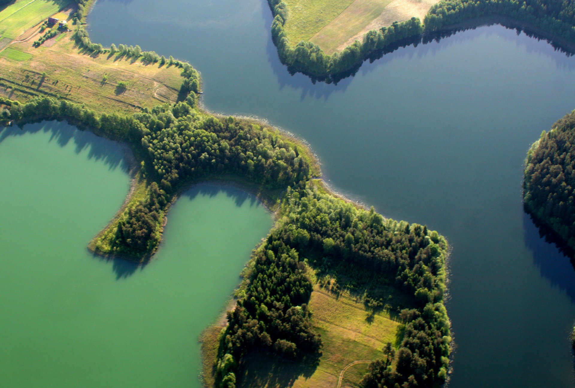 Podlaskie ma nowe rezerwaty przyrody. Gdzie się znajdują?