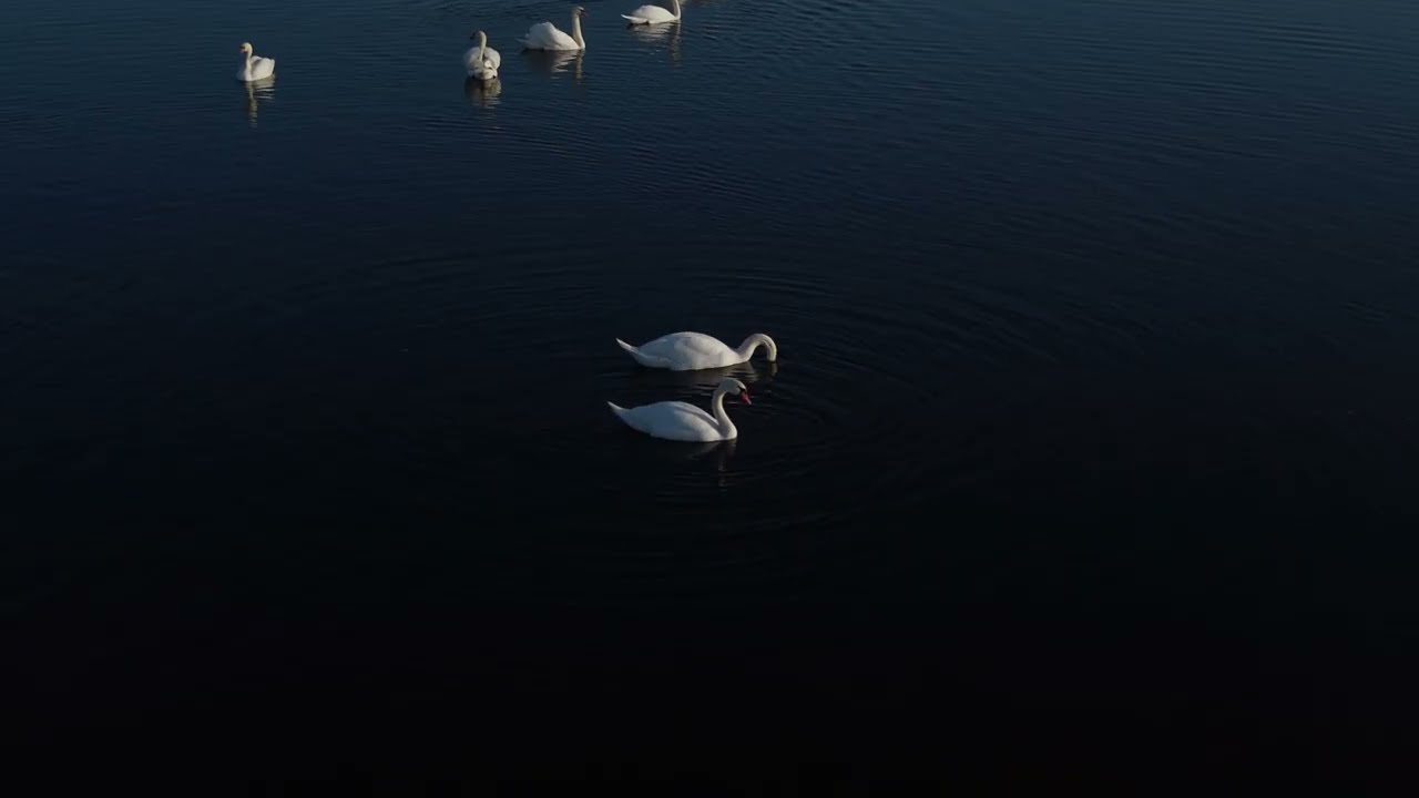 Niesamowite widoki. Zobacz podlaskie rozlewiska.