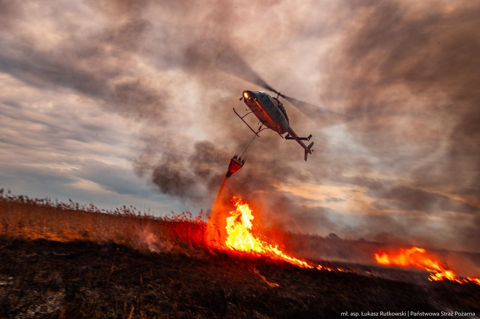 Rolnicy wypalając trawy co roku niszczą Podlaskie. Gigantyczne straty.