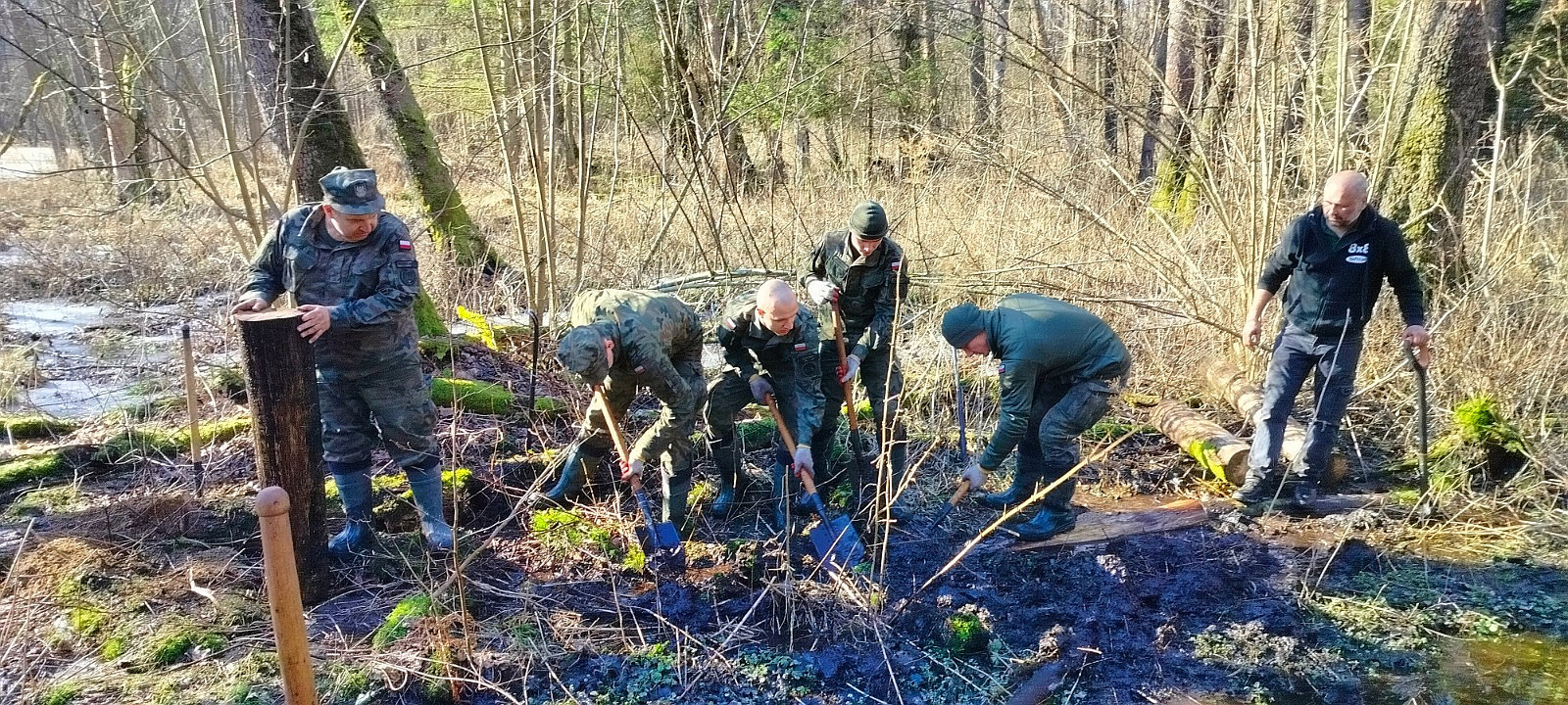W Puszczy Białowieskiej zatrzymują wodę. Powstają dziesiątki małych progów na leśnych rowach.