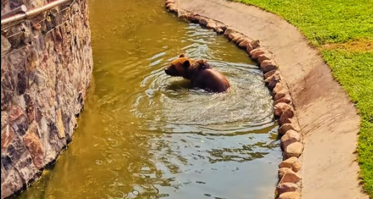 Niedźwiedzie w białostockim ZOO już nie śpią!