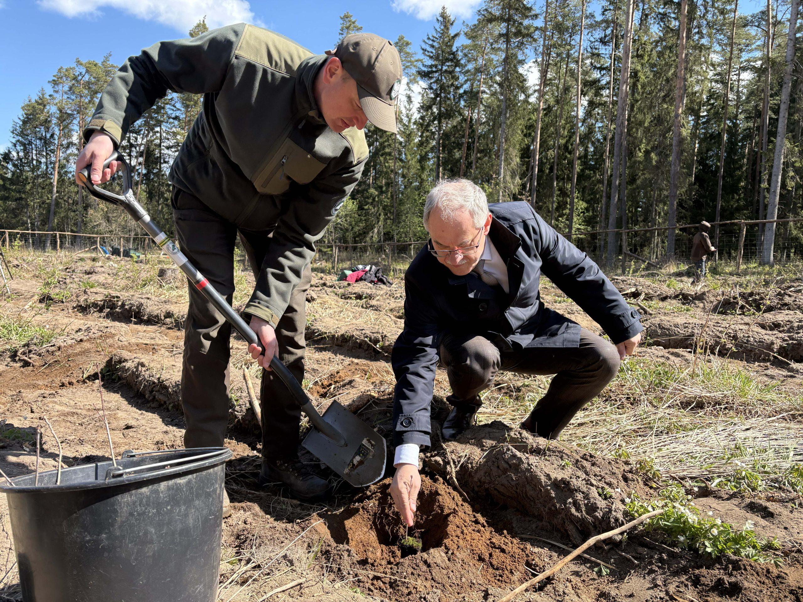 W Suwałkach posadzą 1600 dębów na 35-lecie Radia 5