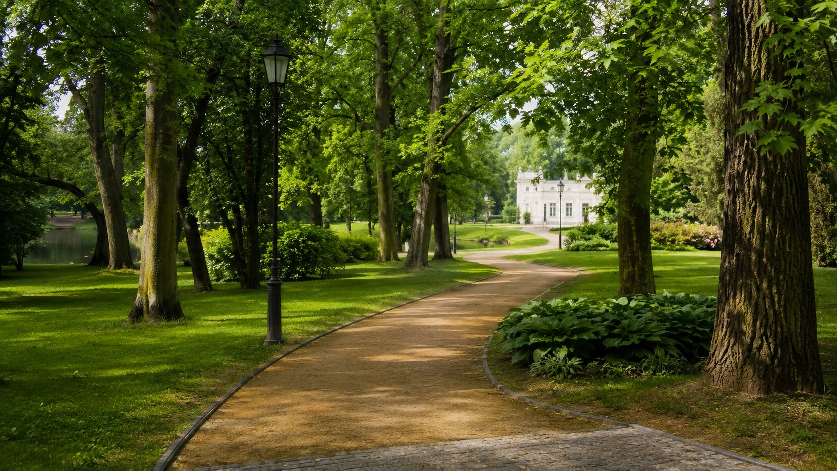 Białystok. Miasto wycofało się z projektu wycinki w Parku Lubomirskich