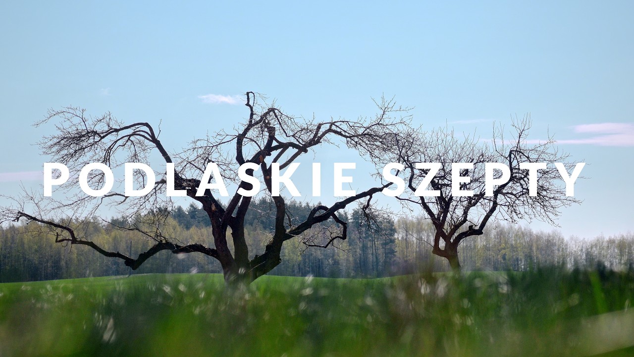 Rzucili wszystko i przenieśli pod Sokółkę