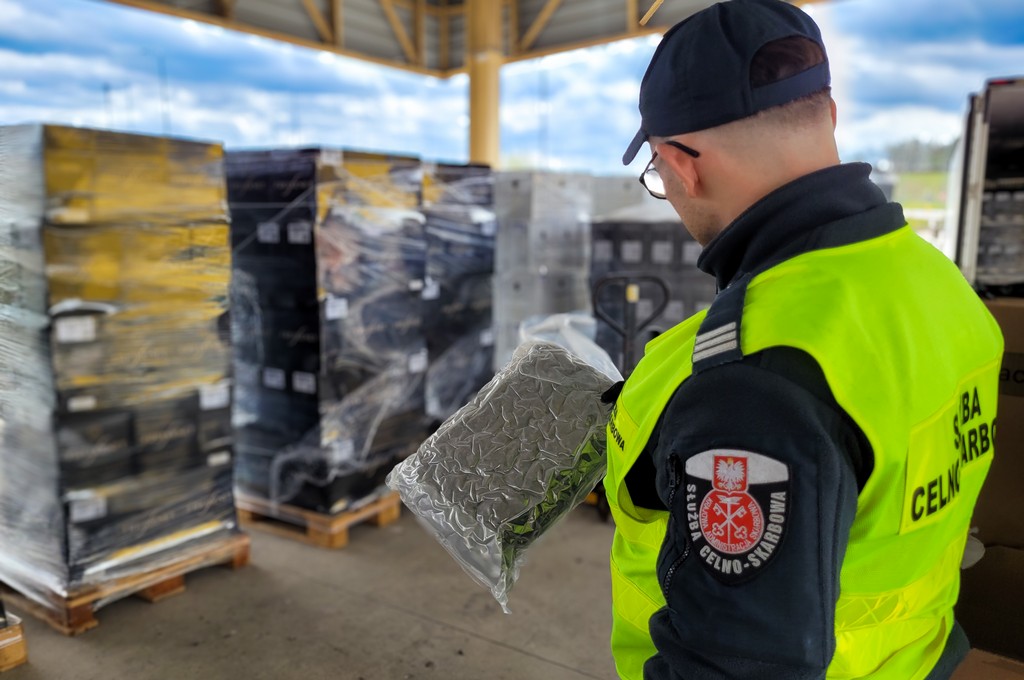 Budzisko. KAS przejęła prawie 40 kg marihuany w ciężarówce na S61