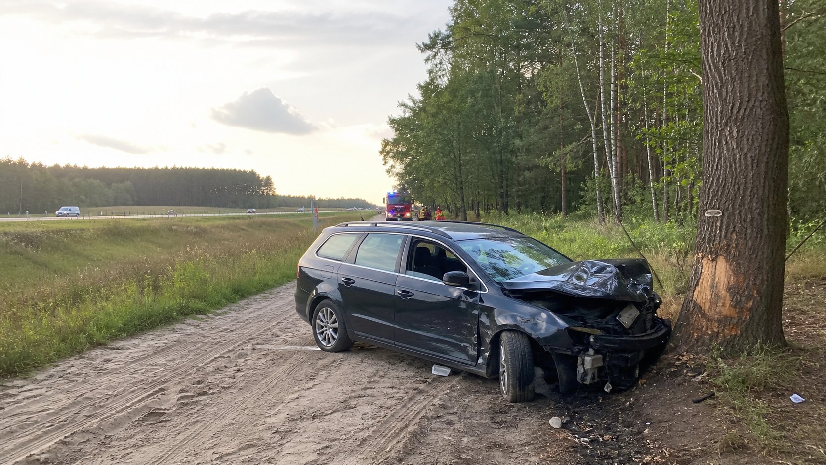 W lesie jednaczewskim auto uderzyło w drzewo, kierowca uciekł
