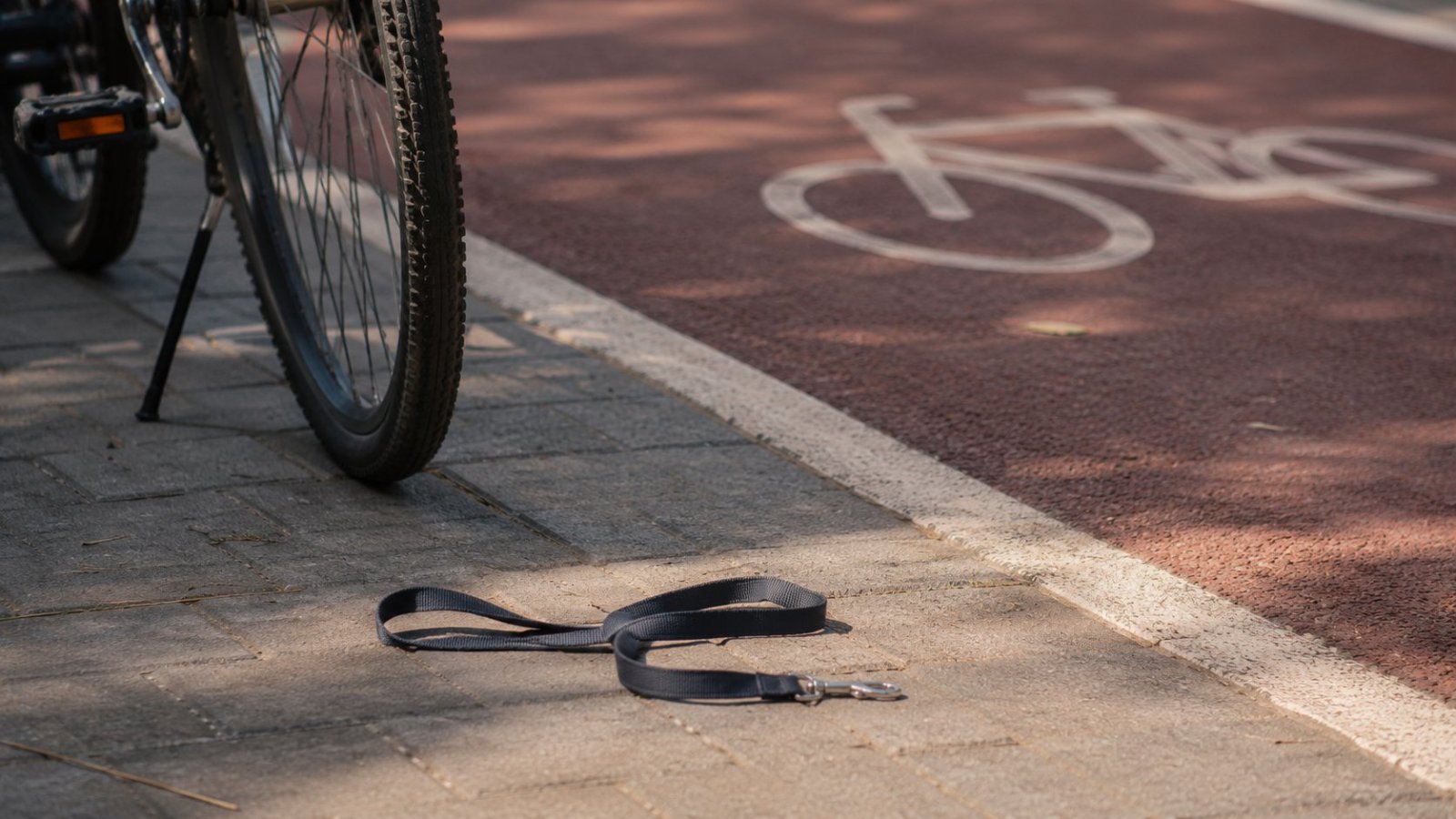 Białystok. Pies zaatakował rowerzystkę, właściciel był poszukiwany