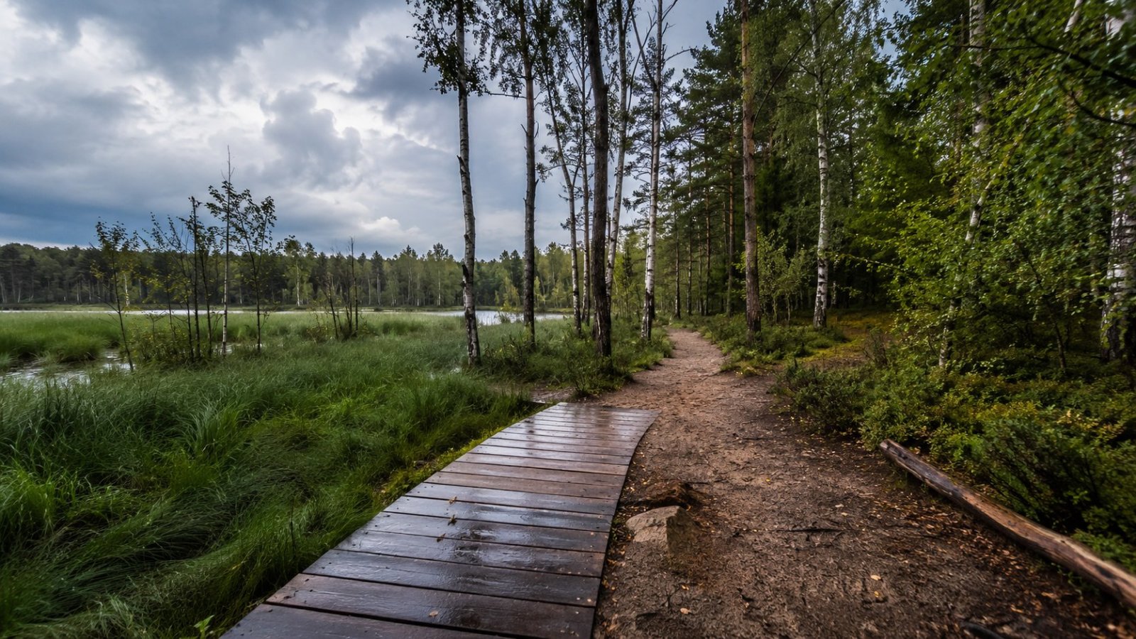Biebrzański Park Narodowy. O czym pamiętać przed wyjściem na szlak