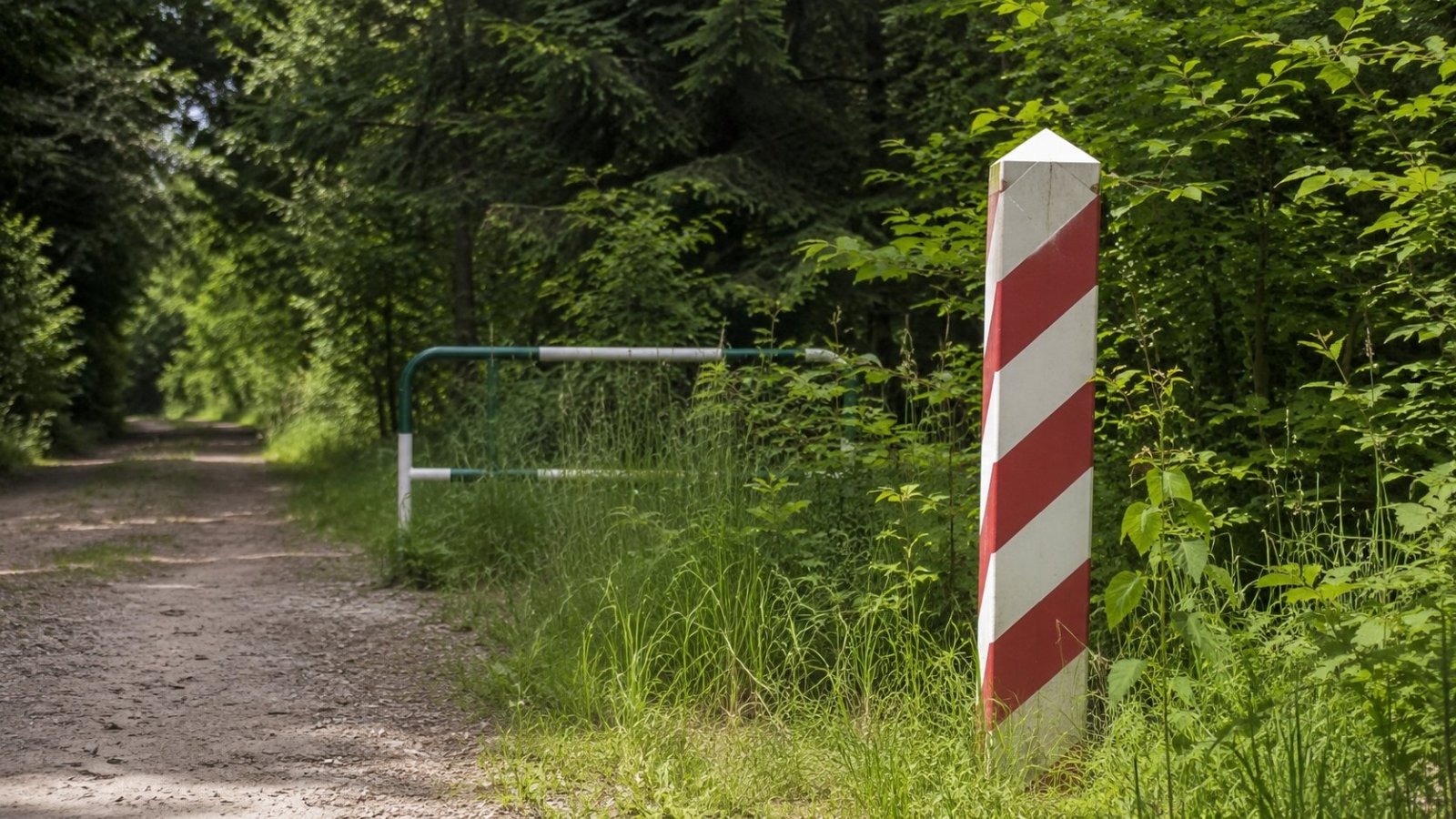 Gmina Puńsk. Zatrzymano 22 osoby przy granicy z Litwą