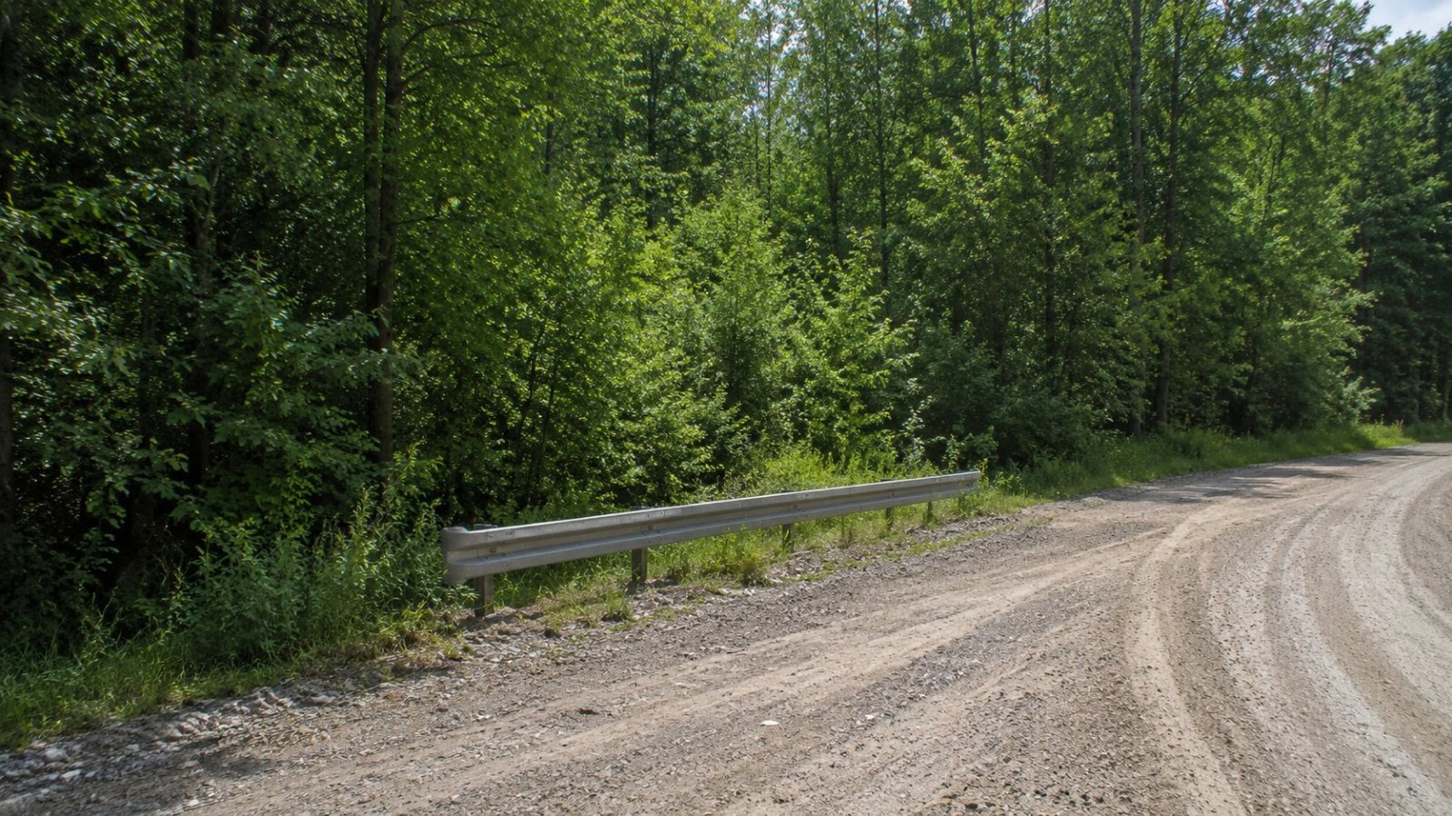 Granica z Litwą. SG zatrzymała 21 migrantów i kurierkę