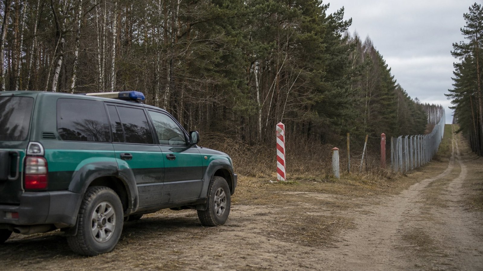 Podlaskie. SG zatrzymała podejrzanego o pomoc przy nielegalnym przekroczeniu granicy