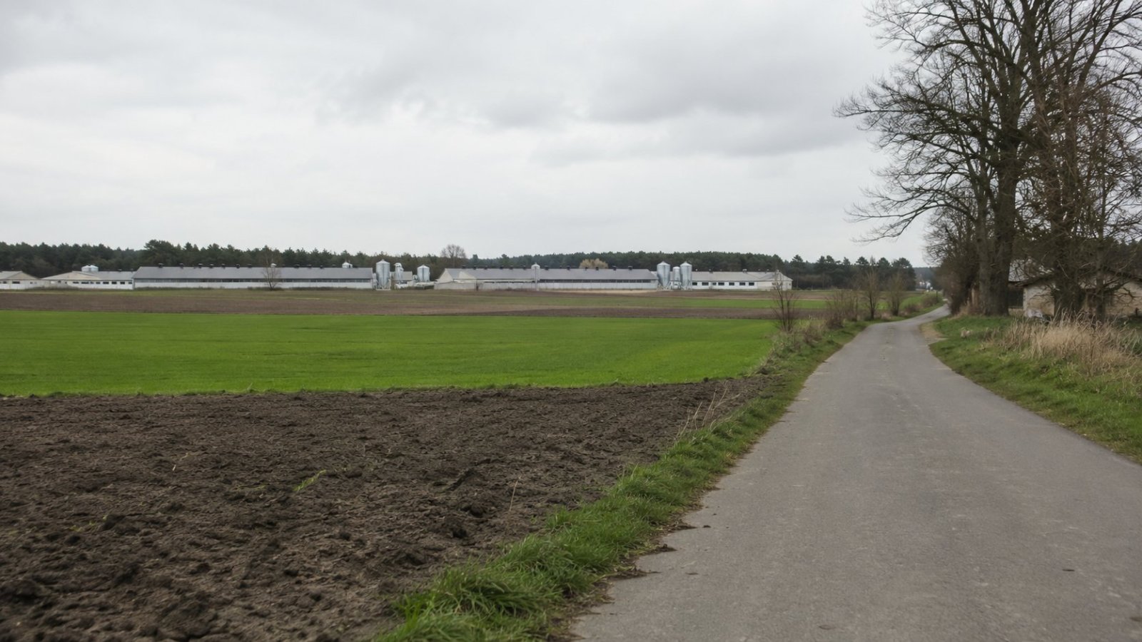 Sidra. Sprawa podpisów pod petycją przeciw fermie trafiła do prokuratury