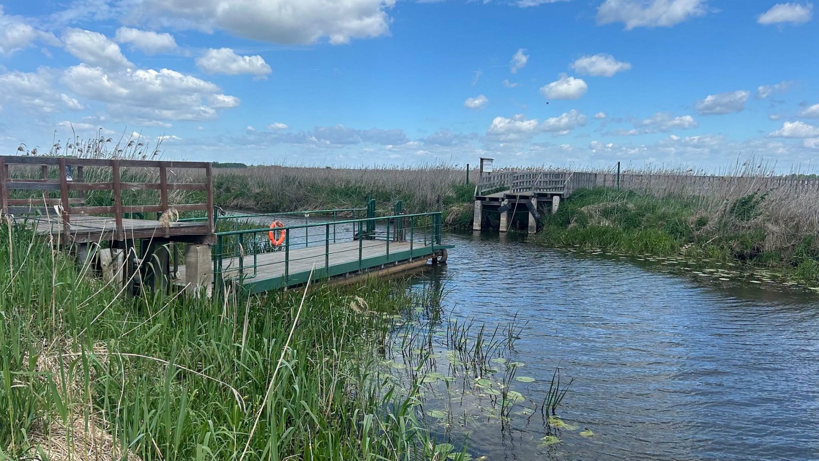 Kładka Waniewo-Śliwno działała tylko kilka dni. Narew umiera i czas działać natychmiast!