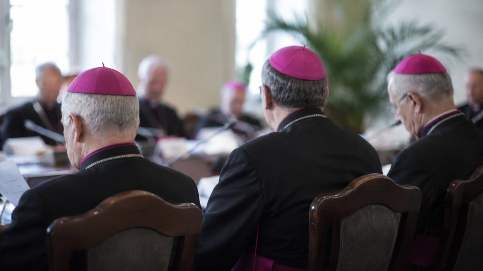 Łomża. Biskupi z całej Polski obradują w mieście