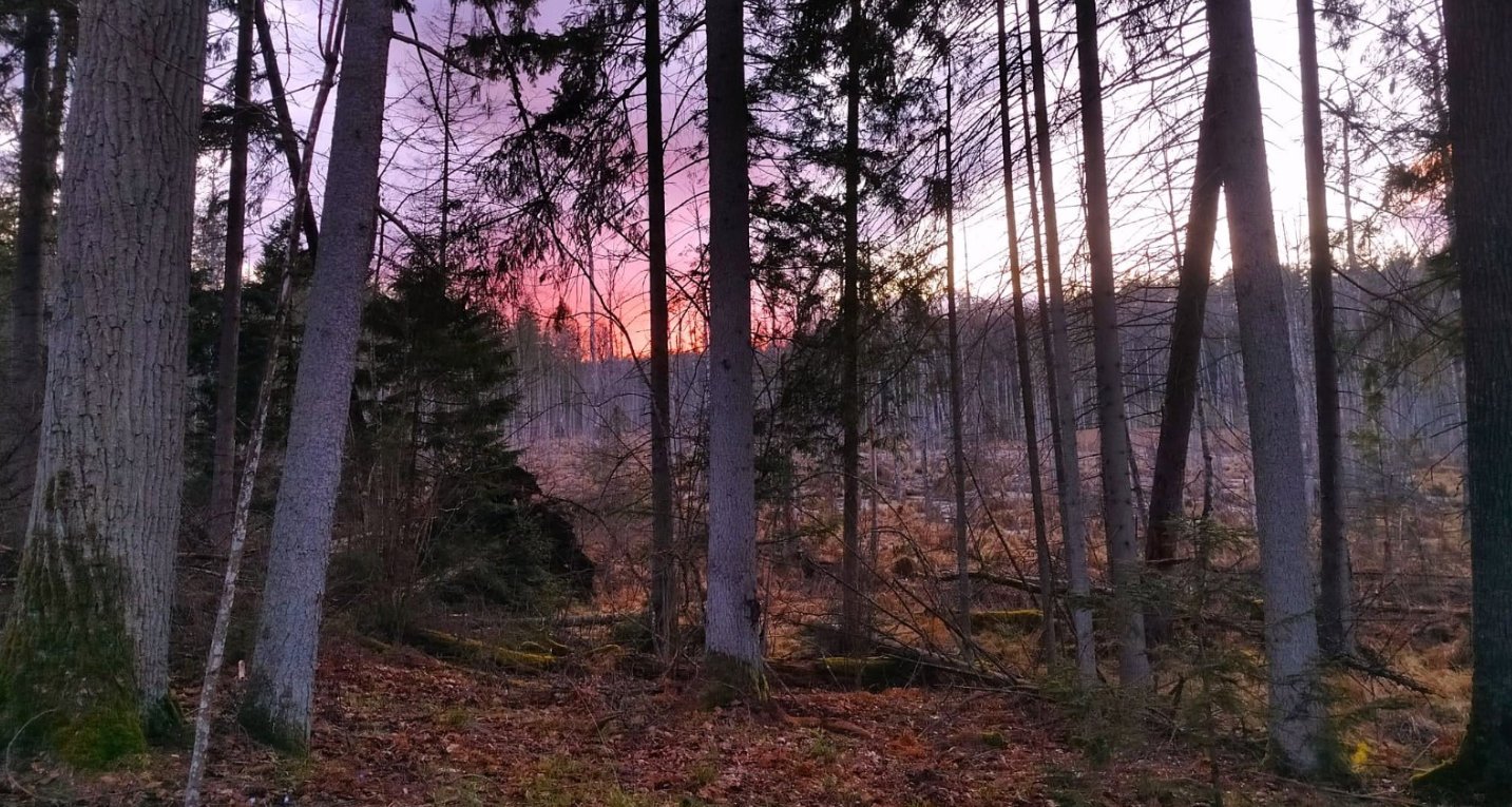 Będą nowe rezerwaty rezerwaty w Podlaskiem? Trwają konsultacje.