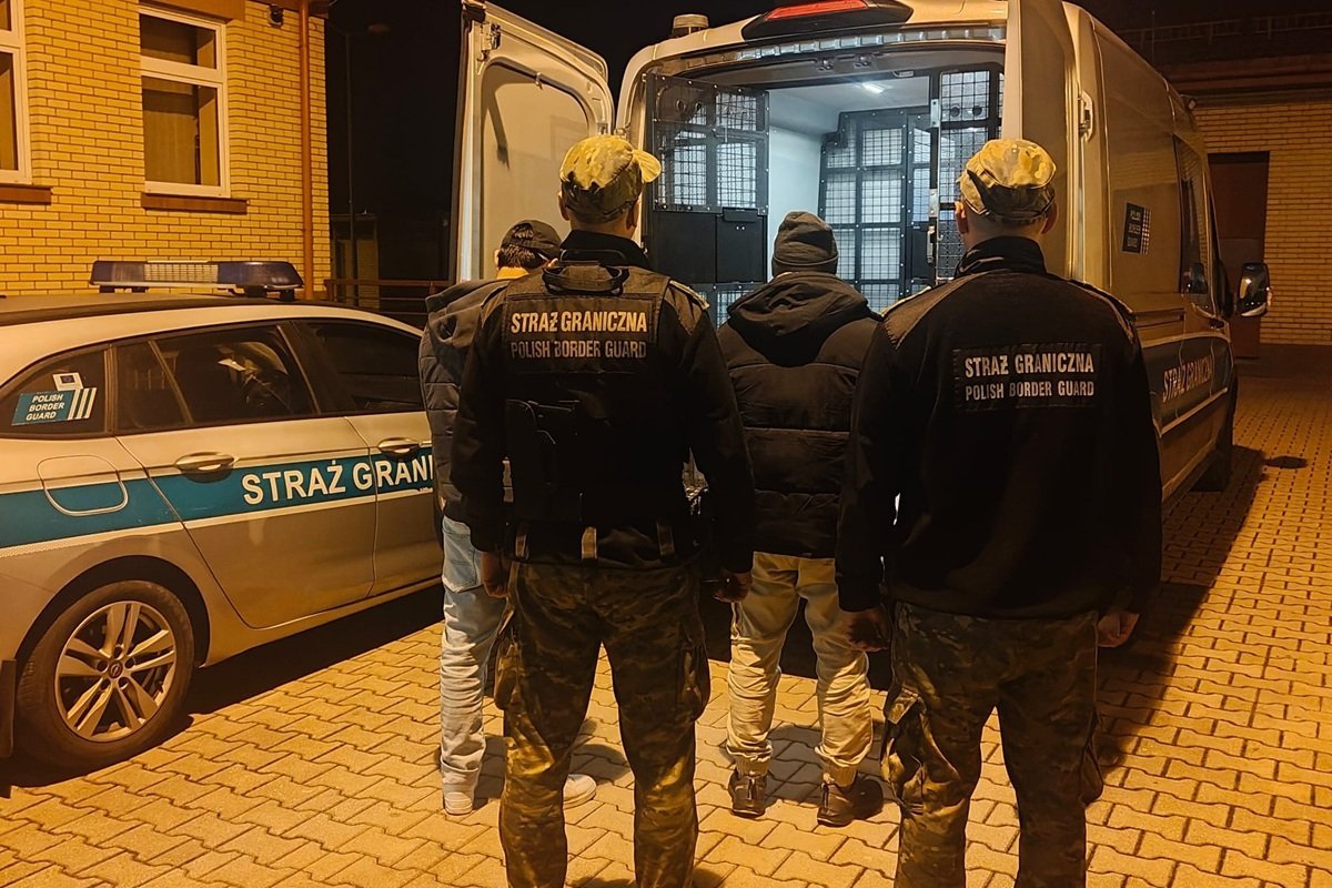 Poszukiwani, fałszywe prawa jazdy i nielegalny pobyt podczas kontroli przy granicy