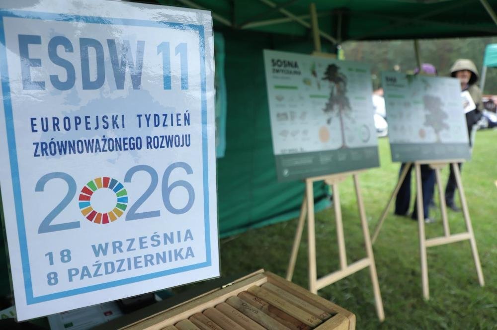 Leśnicy zapraszają mieszkańców regionu na wspólne spacery