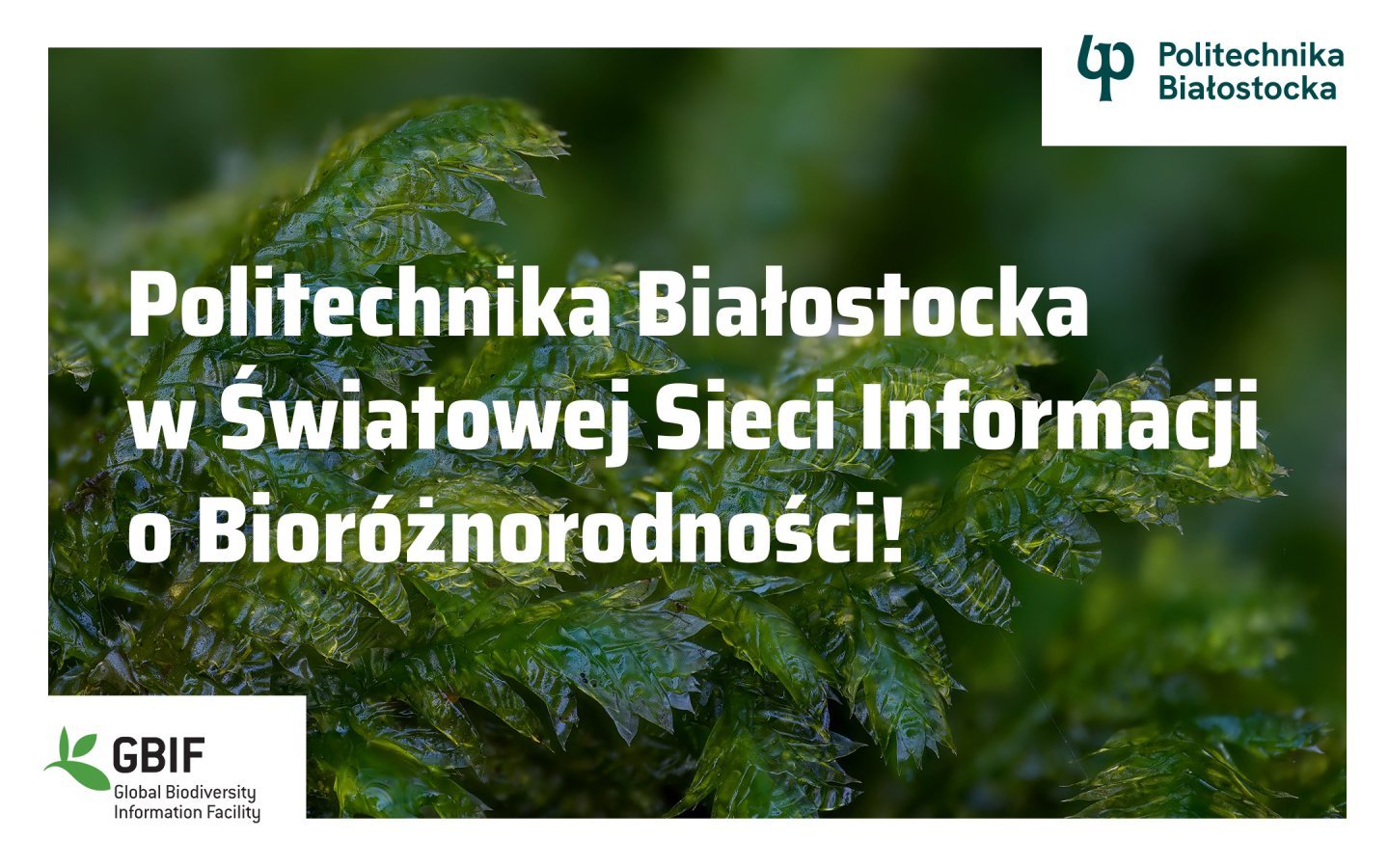 Zbiory Politechniki Białostockiej trafią do światowej bazy GBIF